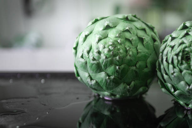 Portrait of an Artichoke