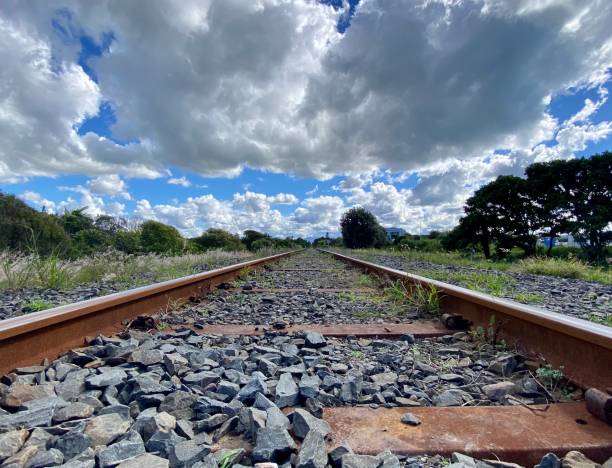 istock Old Railway Tracks under a Cloudy Sky 1319228960