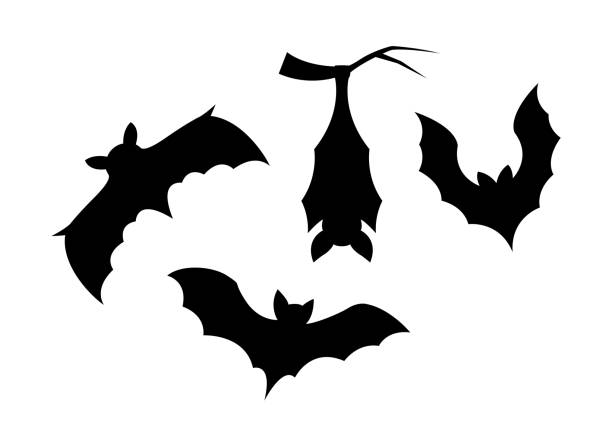 Silhouette elements of bats on white background Set of black halloween holiday silhouette elements of bats isolated on white background. Black creepy flying bats. Concept of happy halloween. Collection of outline flat cartoon vector illustration bat silouette illustration stock illustrations