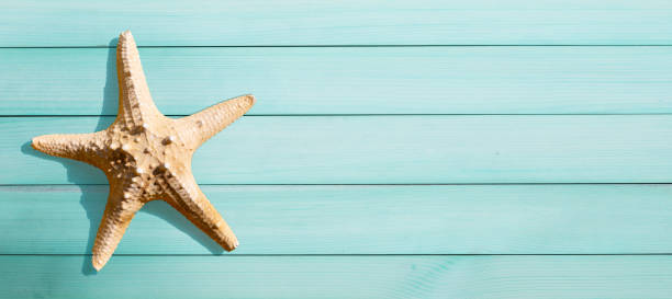istock Starfish on wooden background.  Summer background concept 1319229335