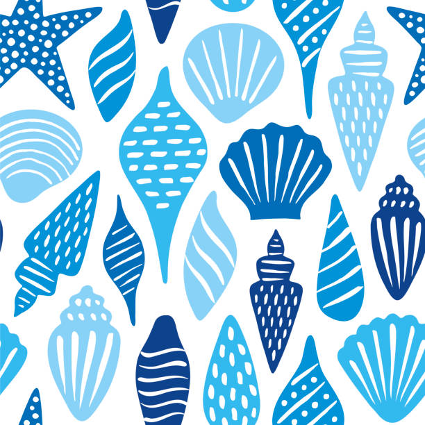 ilustraciones, imágenes clip art, dibujos animados e iconos de stock de las conchas marinas son un patrón sin fisuras. - concha