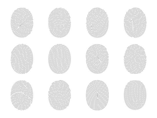 지문. 손가락 자국. 생체 인식 스캐너에 설정된 지문입니다. 사람 성격 인증. 개별 엄지 손가락 터치 아이콘. 고유 식별. 벡터 둥근 윤곽선 표지판 - track vector individuality thumbprint stock illustrations