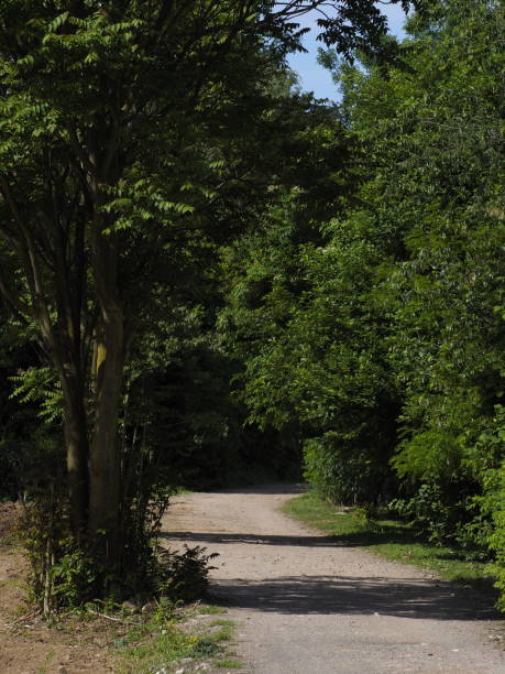 istock Country road 1319235035