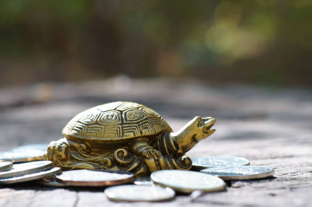 istock Metal turtle with coins on a natural background. 1319235954
