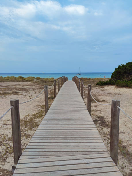 istock Boardwalk at Son Bou beach, Menorca, Spain 1319235962