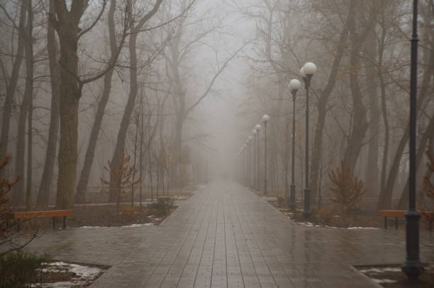 istock Fog in the city park. 1319236052