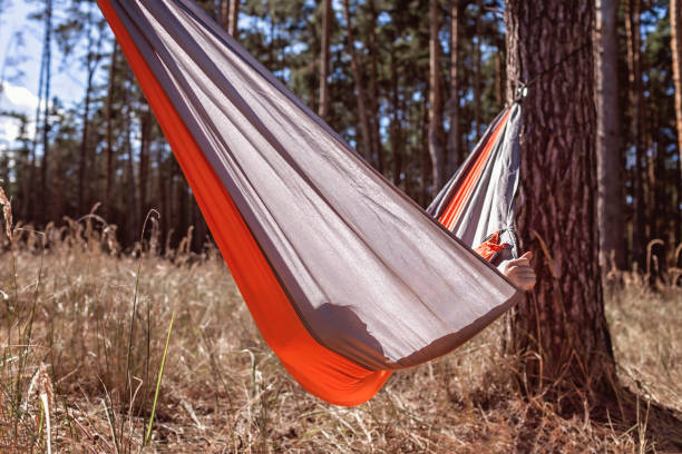 istock Girl having rest in hammock in wild forest during local vacation, unity with nature, digital detox 1319236084