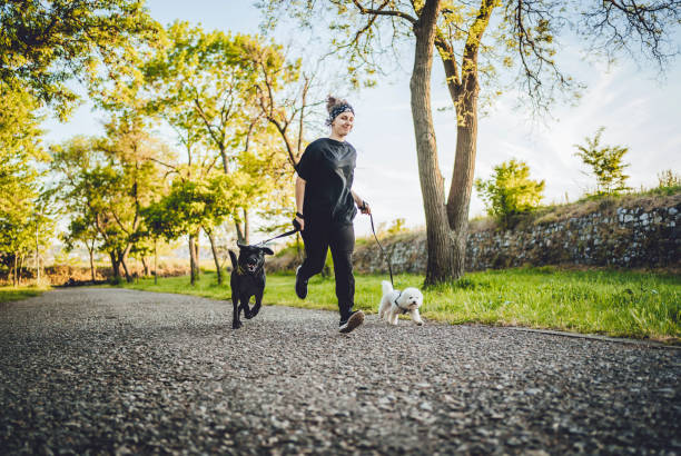 istock Young woman running with her dogs 1319236243