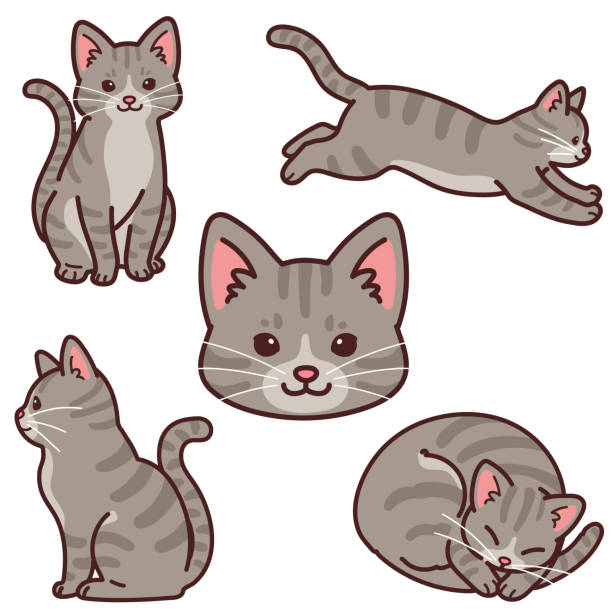 3,527 Drawing Of A Grey Cat Illustrations & Clip Art - iStock