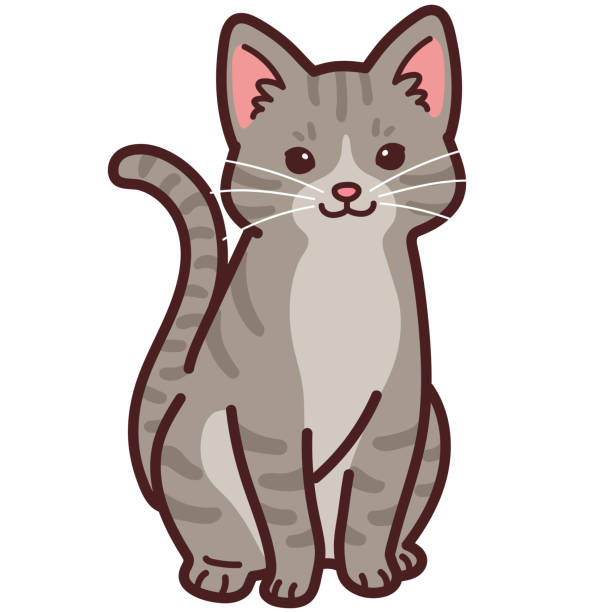 Grey Cat Illustrations, Royalty-Free Vector Graphics & Clip Art - iStock