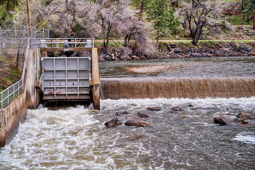 water diversion dam on the Cache la Poudre River in the canyon above Fort Collins, Colorado, with a  springtime flow