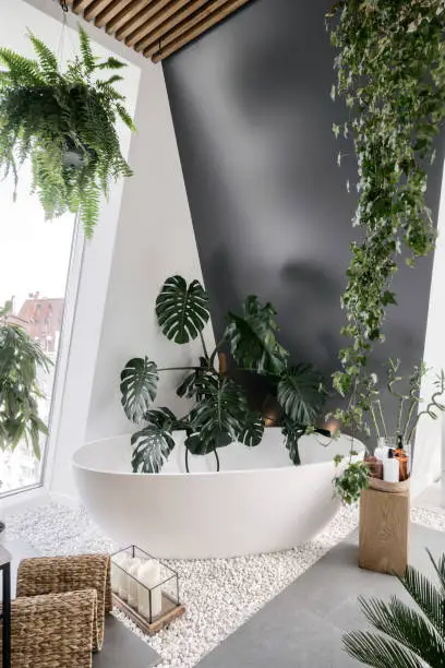 Vertical shot of cozy bathroom in bohemian or urban jungle style with white tub, green tropical plants, candles, wooden and wicker home decor elements. Concept of recreation and spa procedure