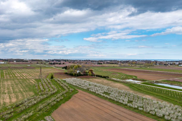 istock Farm and orchard in spring at Niagara falls area, Grimsby, Canada 1319240050