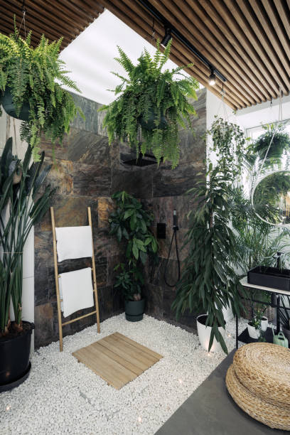 istock Shower in tropical bathroom with green plants 1319240054