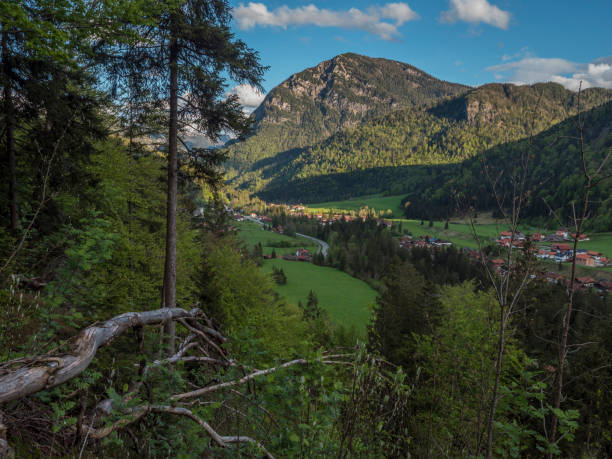 istock Weissbach, Bavarian Alps, Germany 1319243192