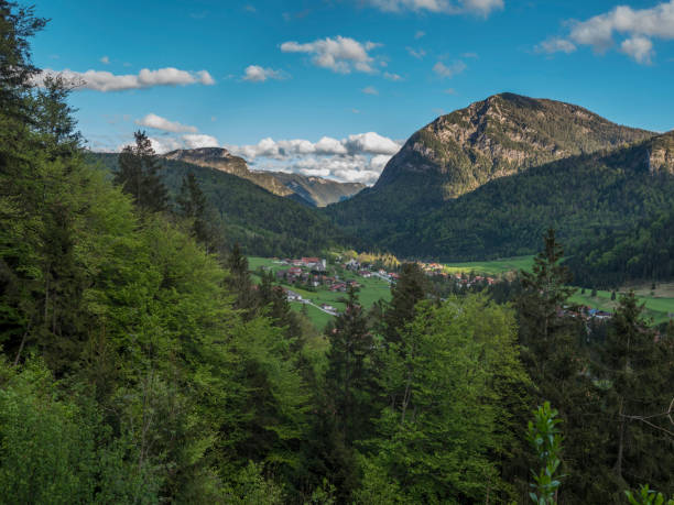 istock Weissbach, Bavarian Alps, Germany 1319244093