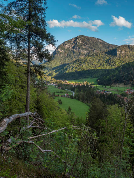 istock Weissbach, Bavarian Alps, Germany 1319244168