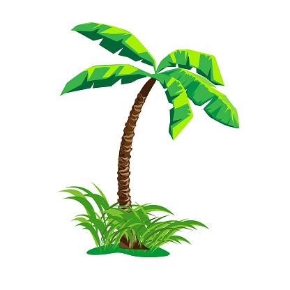 Palm Tree Stock Illustration - Download Image Now - Banana Tree, Vector,  Cut Out - iStock