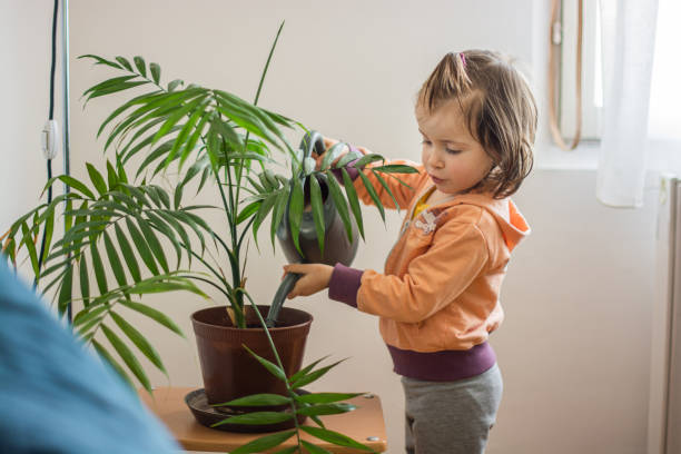 istock Child watering house plant 1319247969