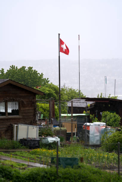 istock Garden plot with Swiss flag at a rainy spring day. 1319252477