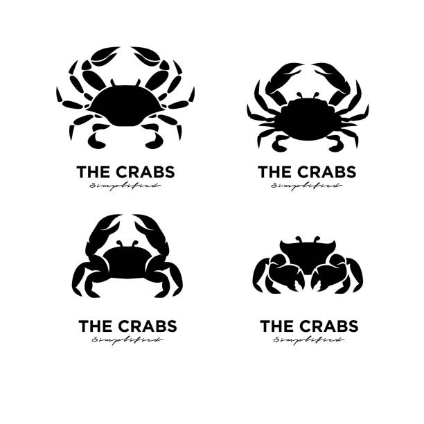illustrazioni stock, clip art, cartoni animati e icone di tendenza di set collezione semplice crab design vector template modern design - granchio