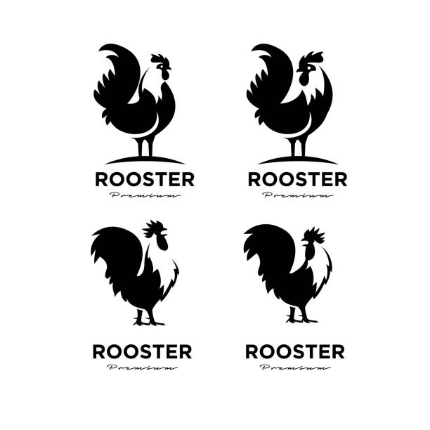 ilustraciones, imágenes clip art, dibujos animados e iconos de stock de set colección minimalismo premium icono gallo - chicken poultry cartoon cockerel