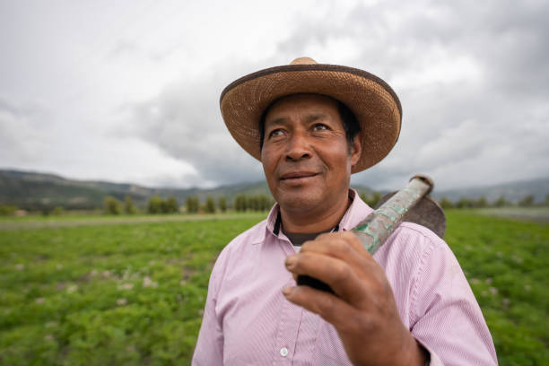 agricultor latinoamericano trabajando la tierra usando un mattock - developing countries small business india owner fotografías e imágenes de stock