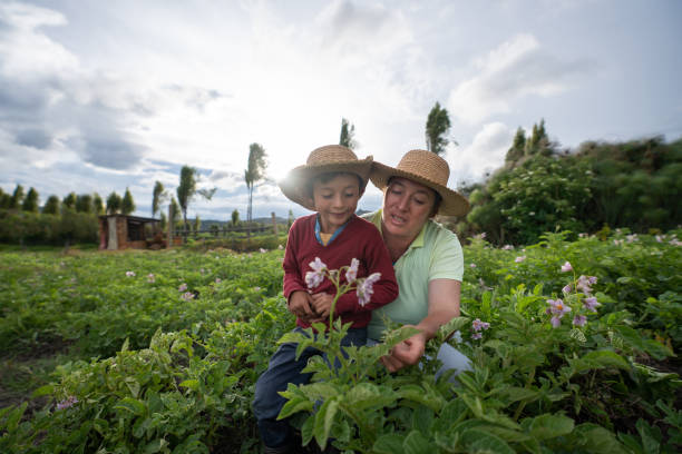 contadina che insegna a suo figlio a raccogliere la terra - farmer farm family son foto e immagini stock