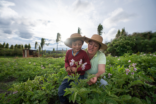 Happy Latin American Female farmer teaching her son about harvesting the land â agricultural lifestyle concepts