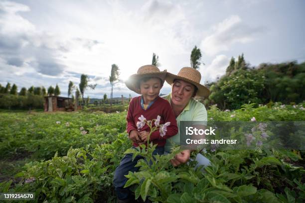 Female Farmer Teaching Her Son About Harvesting The Land Stock Photo - Download Image Now