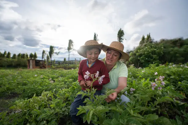 Photo of Female farmer teaching her son about harvesting the land