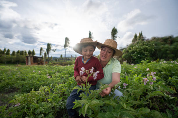 female farmer teaching her son about harvesting the land - farm worker imagens e fotografias de stock