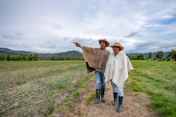 agriculteurs latino-américains regardant leurs terres après la récolte de la récolte - ruana vêtement photos et images de collection