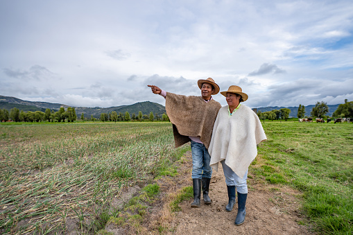 Couple of Latin American farmers looking at their land after harvesting the crop and pointing away â agricultural lifestyle concepts