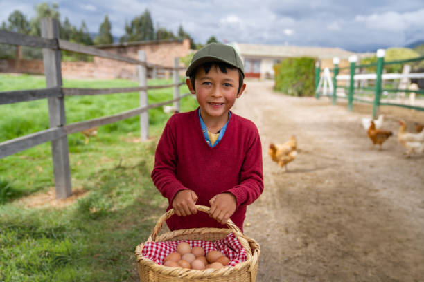 Happy Latin American boy collecting eggs at a poultry farm
