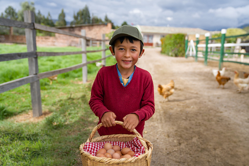 Portrait of a happy Latin American boy collecting eggs in a basket at a poultry farm and looking at the camera smiling
