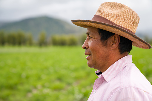 Portrait of a Latin American farmer working in agriculture at a farm and looking at the field â rural scene concepts