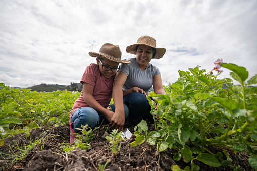 Happy Latin American Female farmer teaching her daughter about harvesting the land â agricultural lifestyle concepts