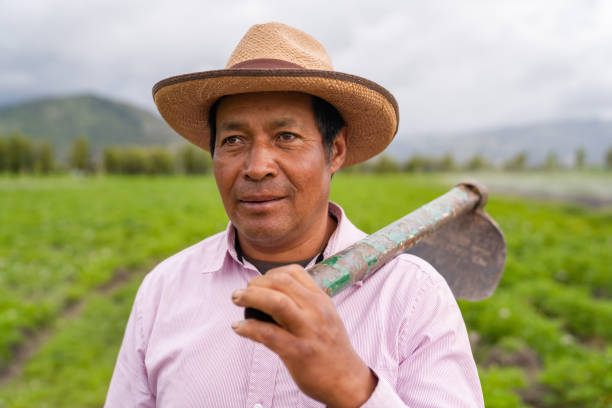 retrato de um fazendeiro latino-americano colhendo a terra usando um colchão - developing countries small business india owner - fotografias e filmes do acervo