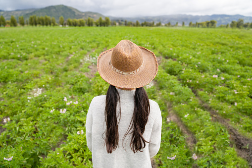 Latin American girl at a farm looking at the potato crop while wearing a hat â agriculture concepts