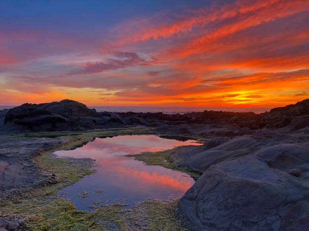 Bean Hollow State Beach, California. Sunset Bean Hollow State Beach, California. Sunset - image bean hollow beach stock pictures, royalty-free photos & images