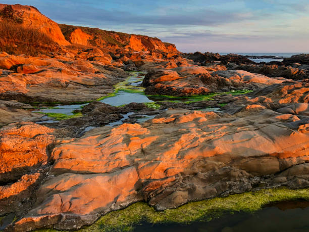 Bean Hollow State Beach, California. Sunset Bean Hollow State Beach, California. Sunset - image bean hollow beach stock pictures, royalty-free photos & images