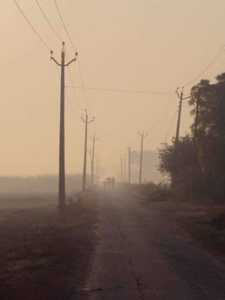 istock Farmland in rural india 1319256333