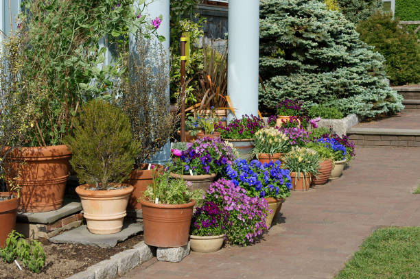 plantas y flores increíbles en macetas de cerámica. wave hill en la sección hudson hill de riverdale en bronx, nueva york - riverdale the bronx fotografías e imágenes de stock