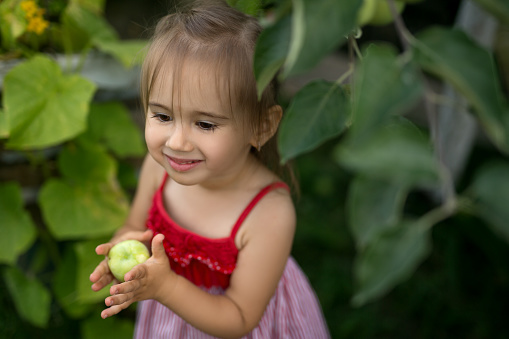 A girl with a green unripe apple in her hands smiles sweetly in the garden under an apple tree. A child in a red dress.