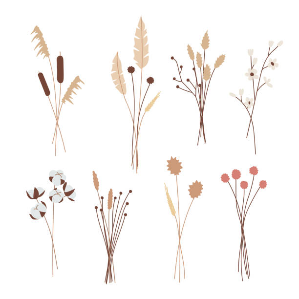 Beautiful Flower Bouquet Hand Drawn Illustrations Vector Floral Arrangement Elements For A Romantic And Wedding Design Vector Art At Vecteezy