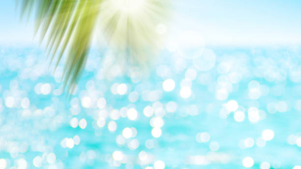 istock Green blur palm leaf on ocean with bokeh sun light background. 1319264394