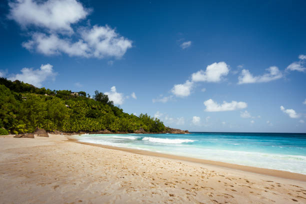 istock Seychelles, Mahe island landscape view 1319266136