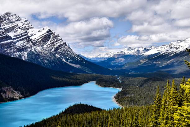 istock Peyto Lake 1319267420