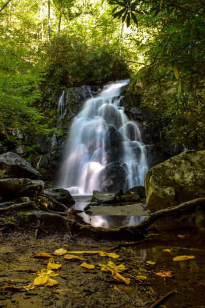 istock Waterfall in Great Smoky Mountains National Park 1319267429